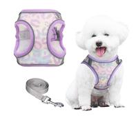 PawSailor Arnes Chaleco Perro Correa para Caminar, Arnes Antitirones Antiescape con Estampado Floral, Easy Walk Transpirable Reflectante Ajustable para Perros Pequeños, Gatos, Lavanda S