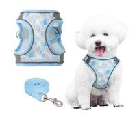 PawSailor Arnes Chaleco Perro Correa para Caminar, Arnes Antitirones Antiescape con Estampado Floral, Easy Walk Transpirable Reflectante Ajustable para Perros Pequeños, Gatos, Azul S