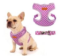 PawSailor Arnés para Perro Pequeño con Correa Arnes Cachorro Morado M | Anti-Tirones Chaleco Perro Acolchado de Cuadros Malla Transpirable Arnes para Perros y Gatos Ajustable Reflectante