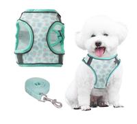 Pawsailor Arnés Perro Extra Pequeño Antiescape Cómodo Transpirable con Estampo, Arnés Chaleco con Correa Sin Tirones, Ajustable Reflectante Arnes Antitirones para Cachorros, Gatos Verde XXXS