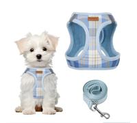 PawSailor Step-in Arnés para Perro Pequeño con Correa Antitirone Ajustable | Arneses Perros Pequeños, A Cuadros, Acolchado Suave, Transpirable Arnes Chaleco para Cachorros, Gatos, Azul S