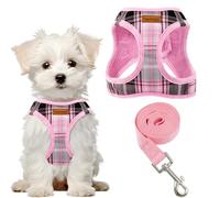 PawSailor Step-in Arnés para Perros Extra Pequeños Antitirones Arneses Perros con Correa Reflectante Ajustable Acolchado Suave Transpirable Chaleco para Cachorros, Chihuahua, Gatos, Rosa XXS