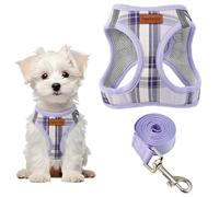 PawSailor Step-in Arnés Perro con Correa Antitirones Reflectante Arneses para Perros Pequeños Ajustable A Cuadros Acolchado Suave Transpirable Arnes Chaleco para Cachorros, Gatos, Morado Claro M