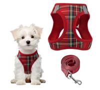 PawSailor Step-in Arnés Perro con Correa Antitirones Reflectante Arneses para Perros Pequeños Ajustable A Cuadros Acolchado Suave Transpirable Arnes Chaleco para Cachorros, Gatos, Rojo M