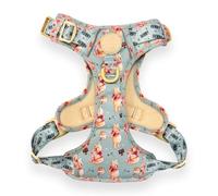 Pawsome Paws Boutique Winnie The Pooh - Arnés para Perro, diseño de Disney, Ajustable, sin tirones, con Ribete Reflectante y Hebilla Resistente