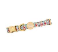 Pawsome Paws Boutique Winnie The Pooh - Collar Grande Ajustable de Disney con Forro Suave y Anillo en D Seguro