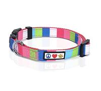Pawtitas Collar de Perro Multicolor para Cachorro y Mascota - Entrenamiento Pequeño Rosa/Blanco/Turquesa/Verde