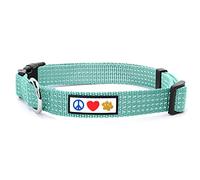 Pawtitas Collares para Perros Reflectante Adaptable | Collar Perro y Cachorro Ajustable y Resistente | Collar para Perros Ideal para Entrenamiento | Collar para Perro Color Turquesa - Pequeño