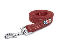 Pawtitas Correa para Perros de 1,8 m, Correa Reflectante, Correa para Cachorros, Agarre cómodo, Correa de Entrenamiento para Perros, Correa para Perros extrapequeña/Correa para Perros pequeña, Correa
