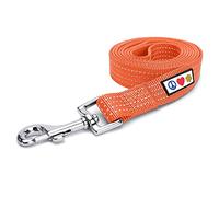 Pawtitas Correa para Perros de 1,8 m, Correa Reflectante para Cachorros, Agarre cómodo, Correa de Entrenamiento para Perros, Correa de Entrenamiento para Perros, Correa para Perros Grandes, Correa