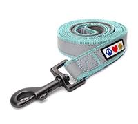 Pawtitas Correa para Perros medianos y Grandes Correa Reflectante para Entrenamiento y antitirones de Mango Acolchado Ideal para adiestramiento de Cachorros - Plomo para Perro Mediano Turquesa