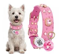 PawView Collar para Perro de Cuero Rosado con Cristales de Corazón y Placa de Identificación QR Inteligente - Elegante, Seguro y Ajustable