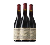 Paxaro Tolo Mencía Ribeira Sacra 75 cl Vino tinto (Caja de 3 Botellas de 75 cl)