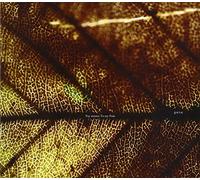 Pay Money To My Pain - Gene