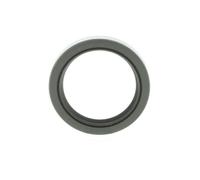 PAYEN Anillo impermeable para HONDA: Accord, Shuttle, Prelude, Odyssey & ROVER: 600 Series (Ref: NA5242)