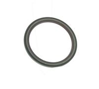 PAYEN Anillo impermeable para RENAULT: Safrane, Espace, Laguna, Clio, Avantime & LANCIA: Phedra & CITROËN: Relay, Xantia, C5, C6, C8, XM (Ref: NF867)