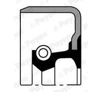 PAYEN Anillo retén, cojinete de rueda para BMW: Série 5, 1602, 1600, 1500-2000, Série 3 & ALFA ROMEO: 33, 75 & TOYOTA: Corolla (Ref: NJ011)