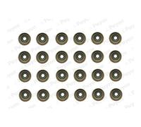 PAYEN HR5121 Juego de juntas vástago de válvula