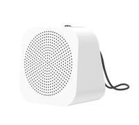 Payment Voice Amplifier - 3.46x3.46x2.36in Portable Voice Amplifier, High Volume Voicee Amplifiers | Payment Audio Broadcaster Loud Volume Payments Broadcaster For Breakfast Shop Accessories