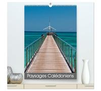 Paysages calédoniens (Calendrier mural 2026 DIN A2 horizontal) calendrier de bureau: Un petit tour sur cette merveilleuse île française de Nouvelle-Calédonie