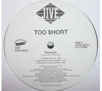 Paystyle / Get in Where You Fit in [Vinilo]