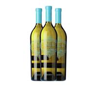 Pazo de San Mauro Albariño Rías Baixas Joven 75 cl Vino blanco (Caja de 3 Botellas de 75 cl)