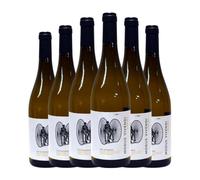 Pazo de Toubes Modus Vivendi Treixadura Ribeiro 75 cl Vino blanco (Caja de 6 Botellas de 75 cl)