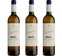 Pazo Señorans - Albariño Colección | 100 % Albariño | 12,5 % vol. | 5 meses sobre lías + 30 meses en botella | Elegante y complejo - 3 Botellas 75cl