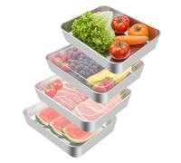 PBUSPU 4 Piezas apers Para Comida Hermetico, Caja de Almacenamiento Frigorífico con Tapa, Recipiente de Carne Adecuado Porcionado de Alimentos, Acampada al Aire Libre y Barbacoa