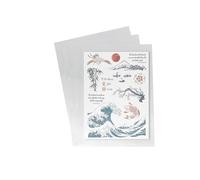 PCCB MINGT 10 hojas internas estándar a 9 foros, de un solo lado, para álbumes de monedas, estampillas, billetes y colecciones (Transparente, Bolsillo Individual)