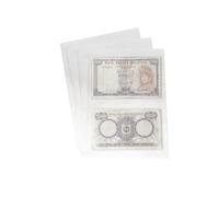 PCCB MINGT 10 hojas internas estándar a 9 foros, de un solo lado, para álbumes, estampillas, billetes, colecciones, páginas internas para álbumes de monedas y suministros (Transparente, 2 Bolsillos)