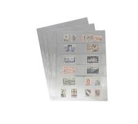 PCCB MINGT 10 hojas internas estándar a 9 foros, de un solo lado, para álbumes, estampillas, billetes, colecciones, páginas internas para álbumes de monedas y suministros (Transparente, 6 Bolsillos)