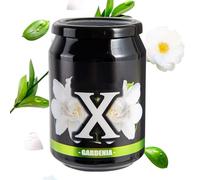 Pcingsia Ambientadores para coche, puede dar al perfume del coche, de coche, de larga duración, eliminador de olores para automóvil o hogar