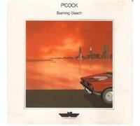 P'COCK - Burning beach House in the storm The actors fun Look The prophet