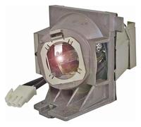 PCXDOLNJ 5J.JHN05.001 Accesorios de lámpara de proyección for proyectores HT2550 TK800 TK800M W1700 W1700S W1720