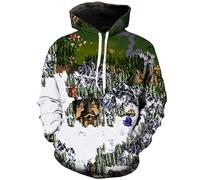 PCYFBEKL Sudadera con Capucha de Heroes of Might and Magic, con Estampado 3D, para Hombre y Mujer, de Gran tamaño, para Primavera-XL