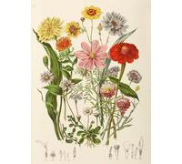 PDSYUCHEN Rompecabezas 1000 Piezas ，Difficult Rompecabezas ，Poster ，Retro Flowers Illustrations ，Alzheimer Games For Adults ，Juguetes para Retos Divertidos En Familia - Tz490Kj