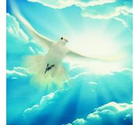 Peace - Music For Reflection And Consolation - Peace - Music For Reflection And Consolation