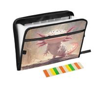 Peach Axolotl - Bonito organizador de recibos con 13 bolsillos, tamaño A4, tamaño carta con cierre de cremallera, para carpetas de archivos anchas de oficina
