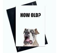 Peachy Antics Divertida tarjeta de cumpleaños con texto en inglés «How Old Joke», tarjeta divertida de perro para él para ella, tarjeta de cumpleaños con la edad impactada, tamaño A5, SP187