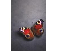 Peacock Butterfly Notebook: Aesthetic 6x9 Lined Notebook - Minimalist Butterfly Cover, Elegant Journal for Writing, Notes & Daily Reflections