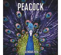 Peacock Calendar 2026: 14-Month Organizer from Nov 2025 to Dec 2026 | Perfect for Home, Office, School & Family Scheduling, For Men , Women , Girls , Boys