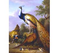 Peacock, Hen and Cock Pheasant in a Landscape - Tobias Stranover - Large Notebook: 120 Lined Pages, College Ruled, 8.5"x 11" Journal Diary Notepad