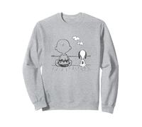 Peanuts - Snoopy Charlie Brown At The Sea Sudadera