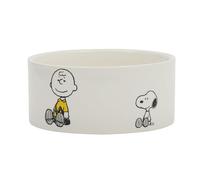 Peanuts Snoopy & Charlie Brown - Cuenco de cerámica para Perros de 6 Pulgadas, para Perros pequeños a medianos, Bonito Plato de Dibujos Animados, Duradero y fácil de Limpiar, alimentación para