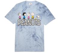 Peanuts Snoopy Charlie Brown Woodstock Gang Classic Walking Comfort Colors Adult Heavyweight T-Shirt