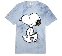 Peanuts Snoopy Dog Walking Fun Friends BFF Classic Happiness Comfort Colors Adult Heavyweight T-Shirt