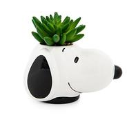 Peanuts Snoopy Face - Mini Maceta de cerámica con suculentas Artificiales, Maceta pequeña, Plantas de Interior de imitación para Estante de Escritorio, Bandeja de baratijas para decoración del hogar,
