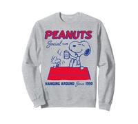 Peanuts Snoopy Woodstock Social 50s Pasar el rato Vintage Friends Sudadera