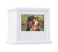 Pearhead Caja de Memoria Personalizada para Perro o Gato, urna para Mascotas, Color Blanco (89050)